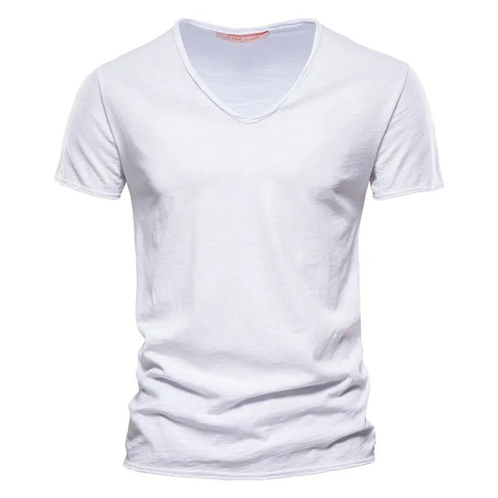 Boettiga Men's V-neck T-shirt - Prestige Fashion