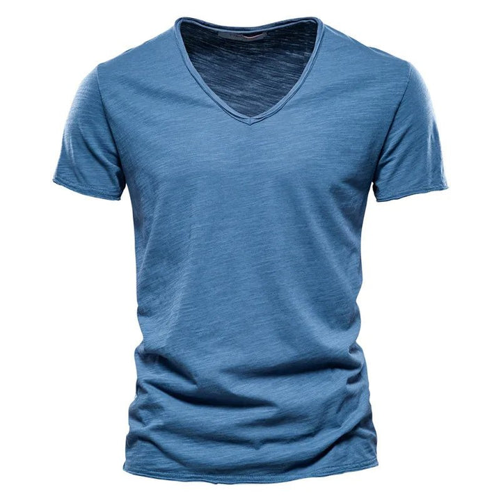 Boettiga Men's V-neck T-shirt - Prestige Fashion